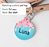 Sweet Ice Cream Blue Dog Collar - S-L sizes with custom matching pet tag - Adventures of Rubi